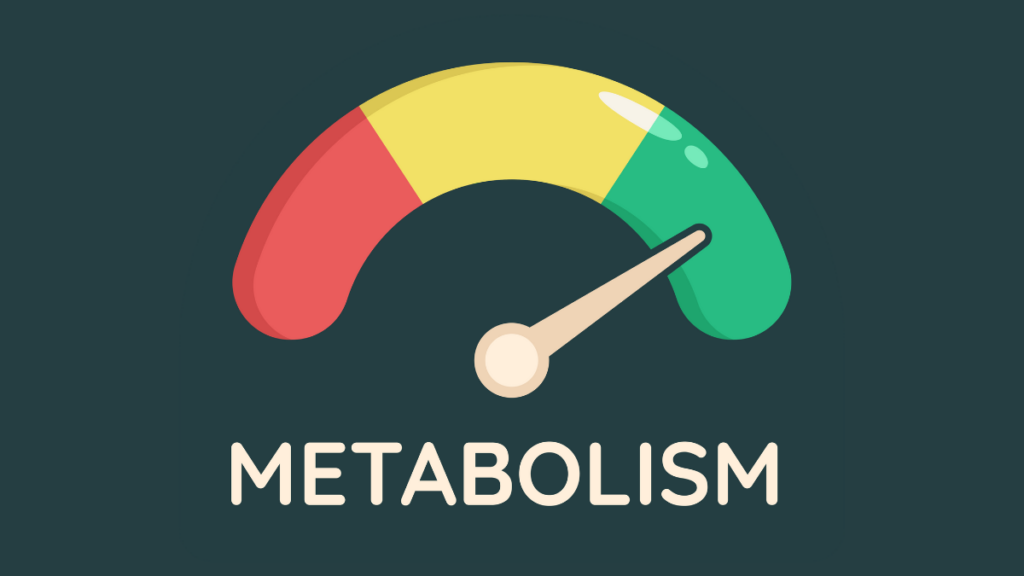 blood sugar metabolic health education