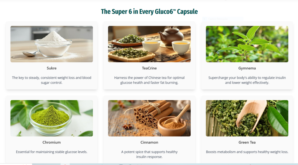 Gluco6 natural formula for metabolic health support