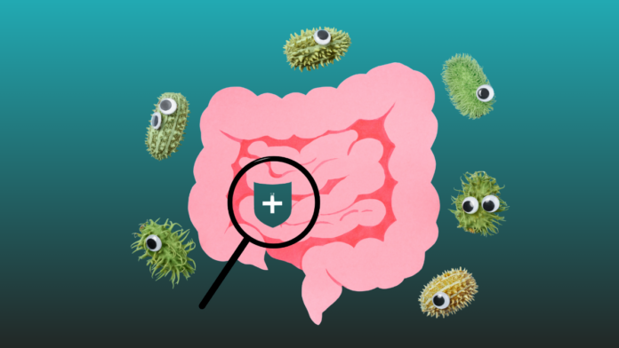 Gut Bacteria Help Break Down Dietary Fiber Your Body Can’t Digest