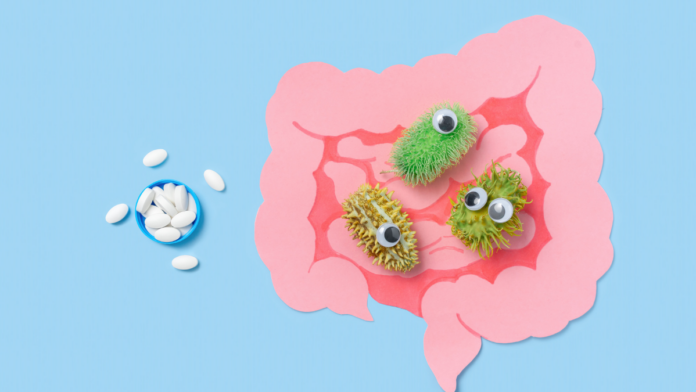 gut microbiota and overall digestive health